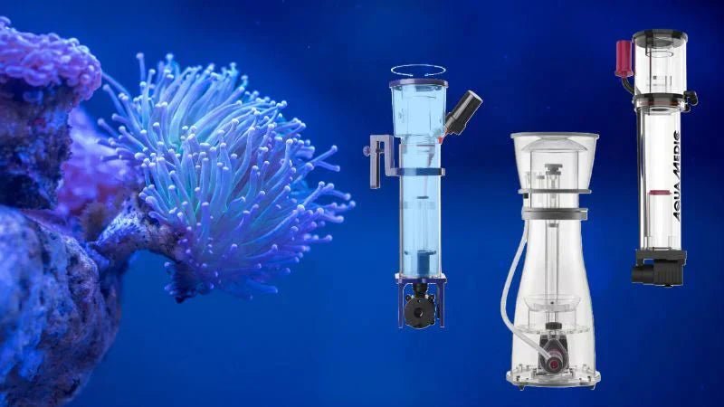 10 Things to Know Before Buying a Protein Skimmer for Your Reef Tank - Coralsdepot