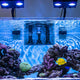 7 Tips on How to Choose, Set Up and Adjust Reef Lighting - Coralsdepot