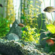 How to Lower Alkalinity in a Fish Tank: 8 Safe Methods - Coralsdepot