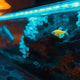 What Is a Sump? Aquarium Sump Guide for Beginners - Coralsdepot