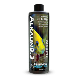 wholesale_coral - saltwater_fish saltwater_coral - rare corals - coralsdepot - Corals_Depot - live_corals - eye - catching - coral quality_marine_fish - quality - marine discoun