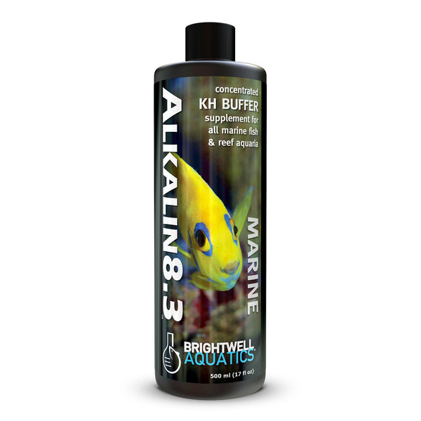 wholesale_coral - saltwater_fish saltwater_coral - rare corals - coralsdepot - Corals_Depot - live_corals - eye - catching - coral quality_marine_fish - quality - marine discoun