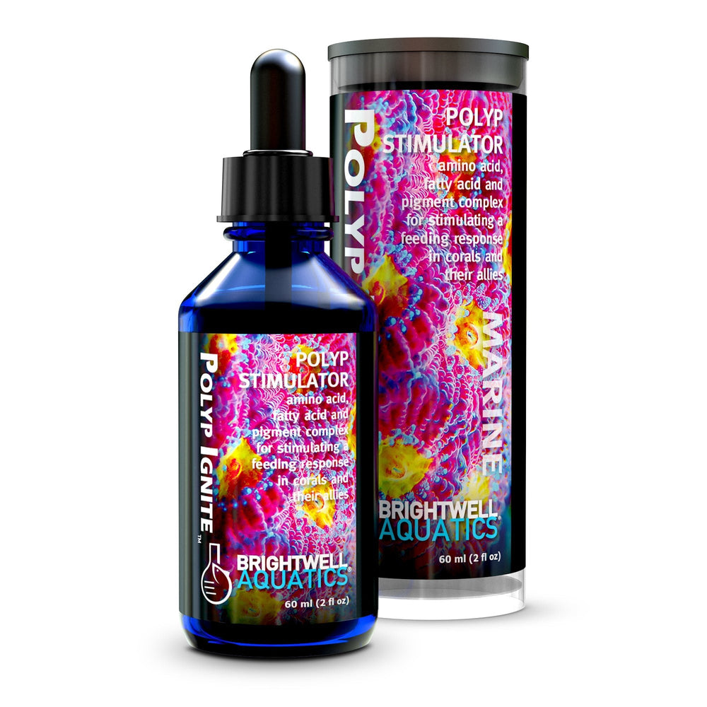 wholesale_coral - saltwater_fish saltwater_coral - rare corals - coralsdepot - Corals_Depot - live_corals - eye - catching - coral quality_marine_fish - quality - marine discoun