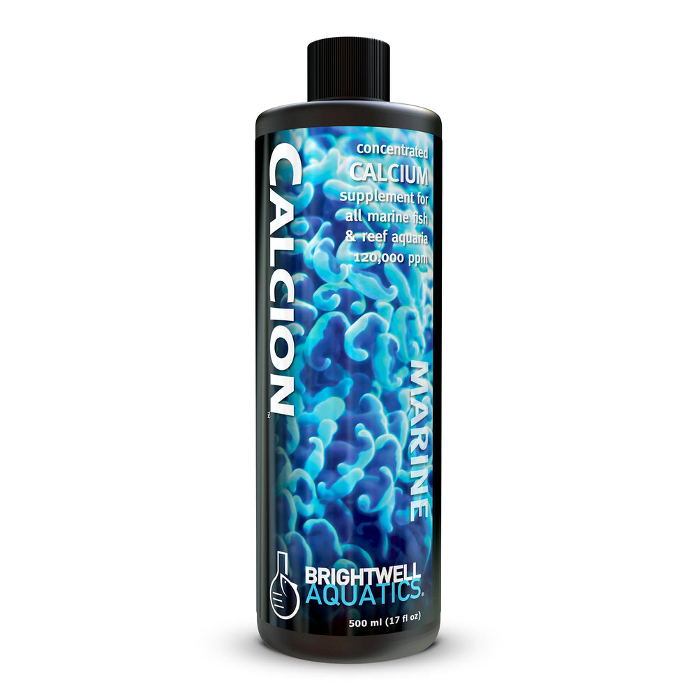 wholesale_coral - saltwater_fish saltwater_coral - rare corals - coralsdepot - Corals_Depot - live_corals - eye - catching - coral quality_marine_fish - quality - marine discoun