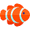 Observe the Fish