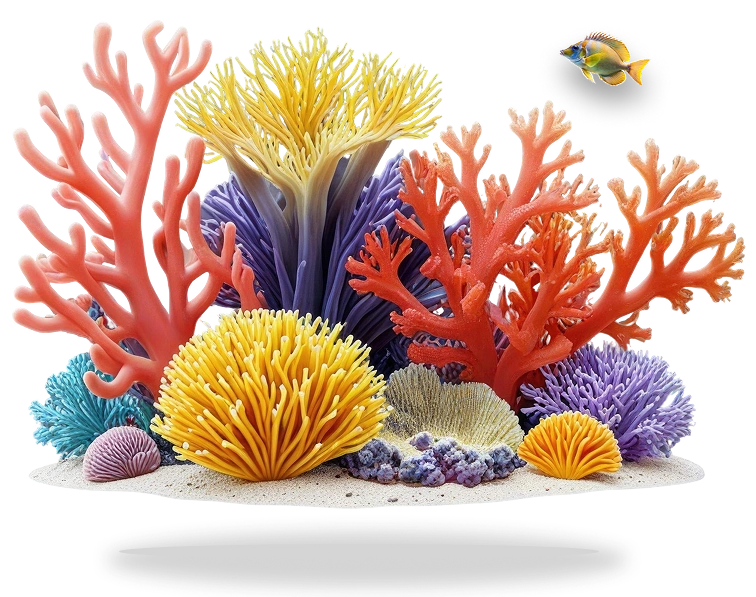 Colorful coral and fish on a white background