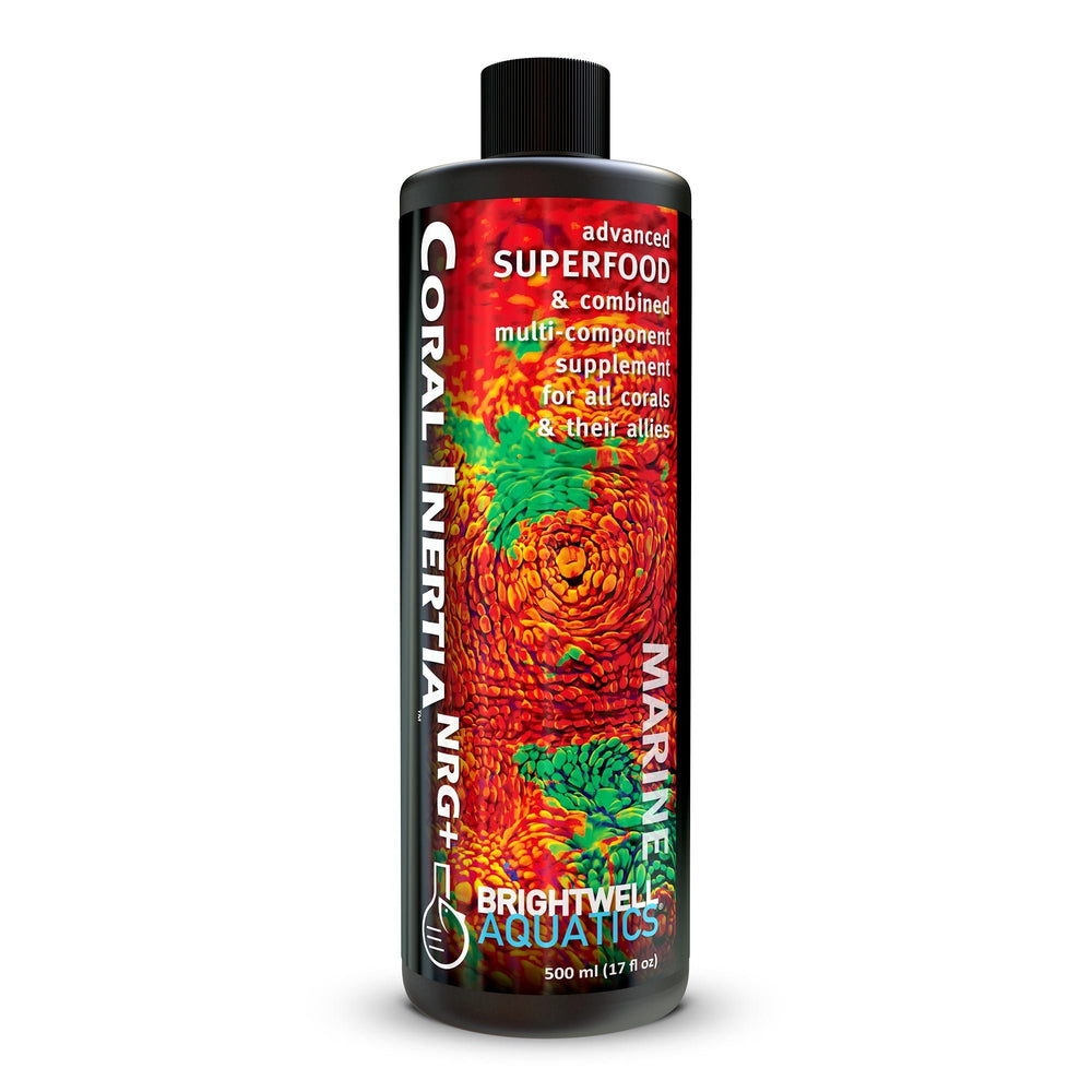 wholesale_coral - saltwater_fish saltwater_coral - rare corals - coralsdepot - Corals_Depot - live_corals - eye - catching - coral quality_marine_fish - quality - marine discoun