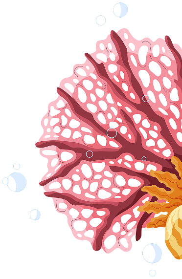 Decorative coral illustration