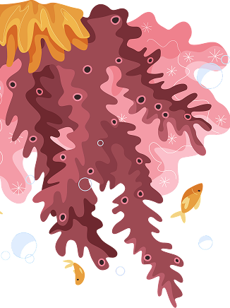 Decorative coral illustration