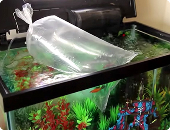 Acclimation