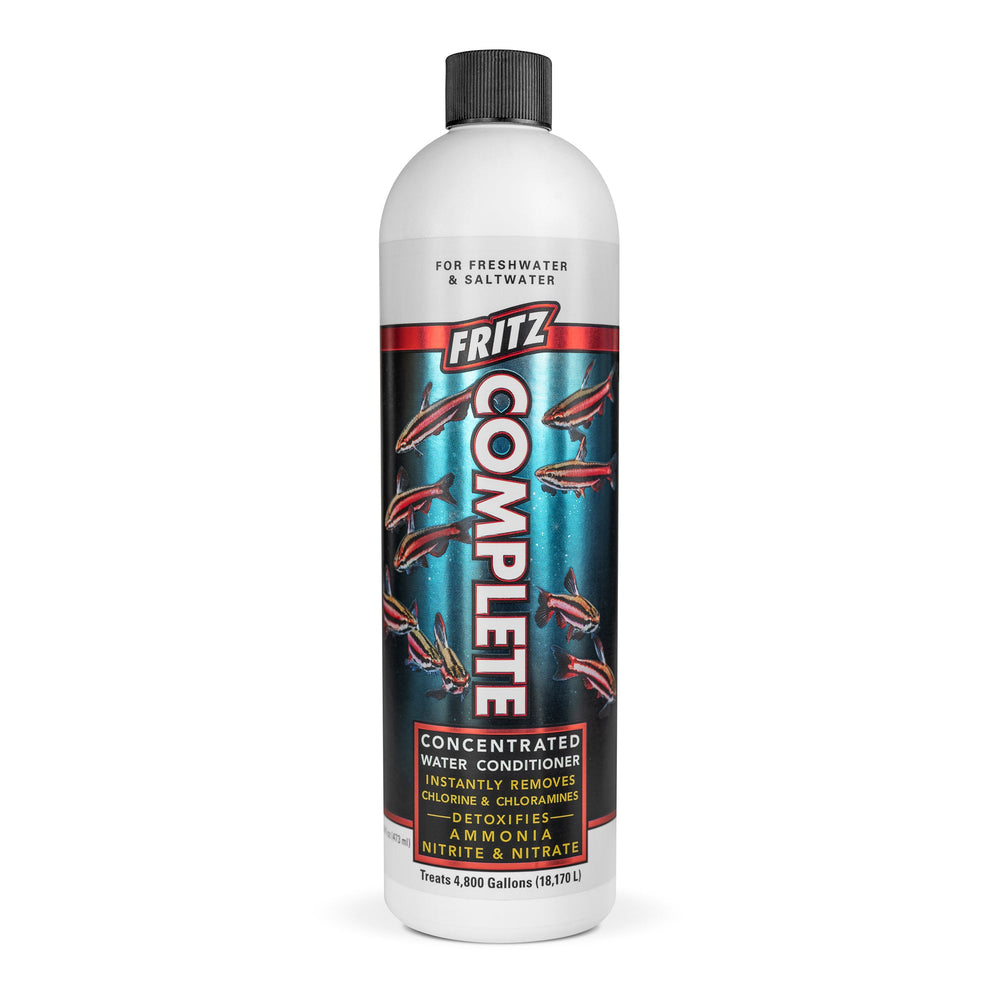 wholesale_coral - saltwater_fish saltwater_coral - rare corals - coralsdepot - Corals_Depot - live_corals - eye - catching - coral quality_marine_fish - quality - marine discoun