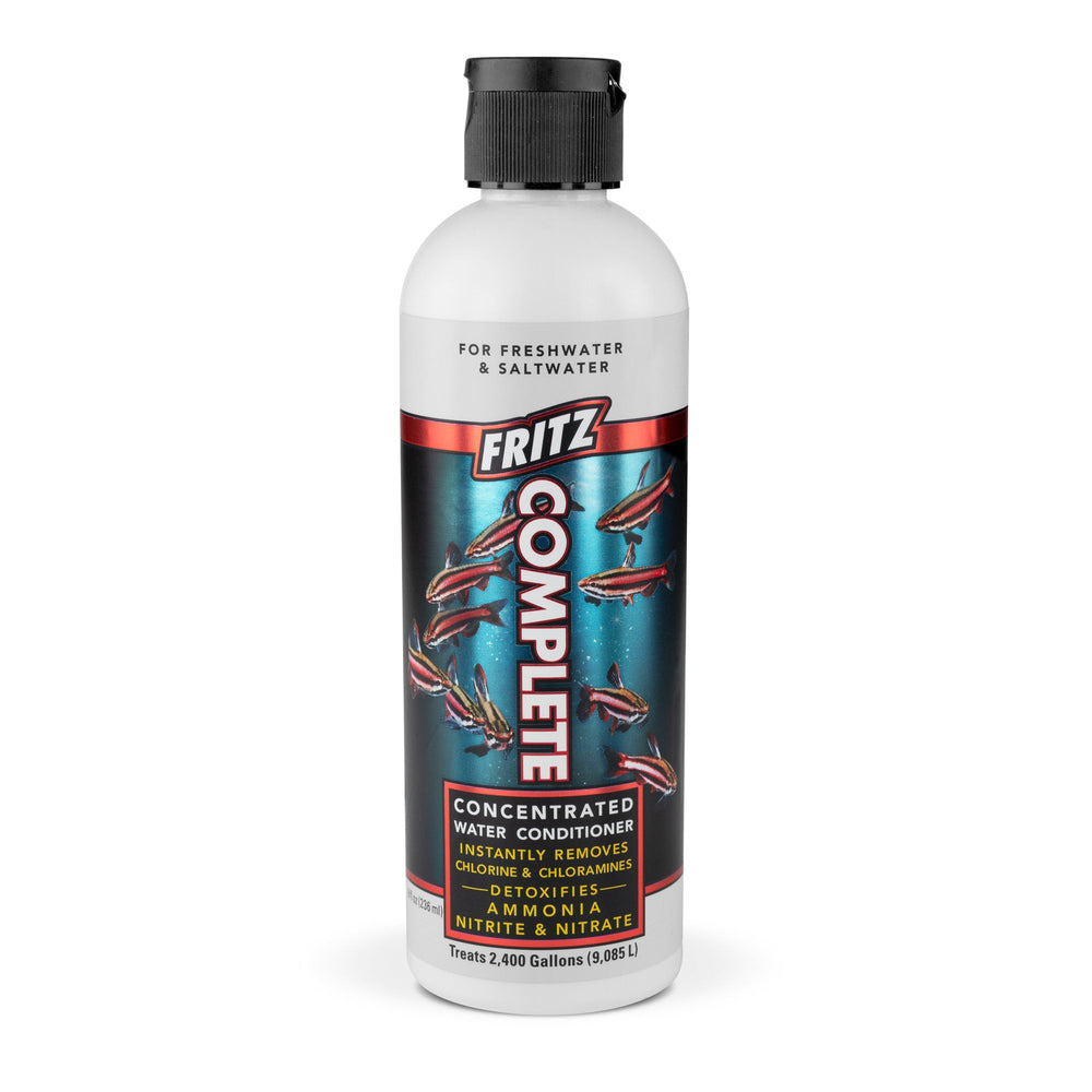 wholesale_coral - saltwater_fish saltwater_coral - rare corals - coralsdepot - Corals_Depot - live_corals - eye - catching - coral quality_marine_fish - quality - marine discoun