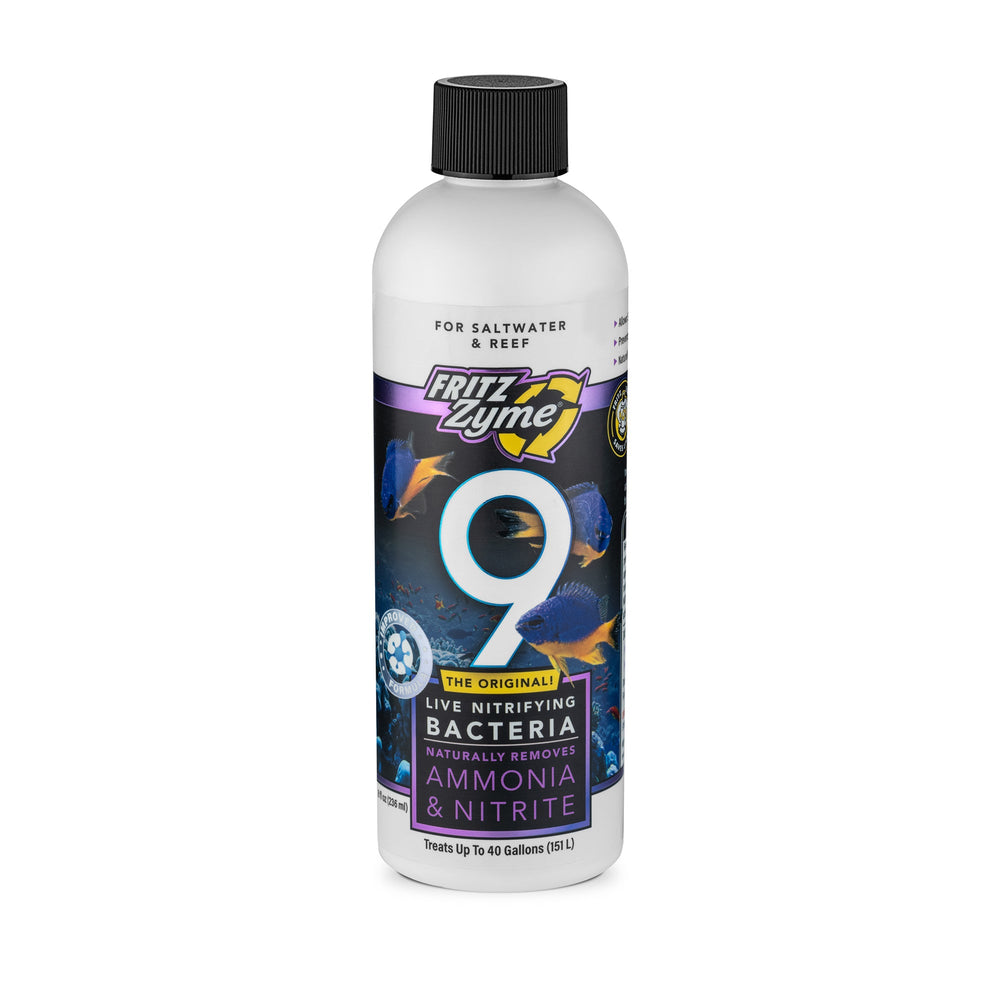 wholesale_coral - saltwater_fish saltwater_coral - rare corals - coralsdepot - Corals_Depot - live_corals - eye - catching - coral quality_marine_fish - quality - marine discoun