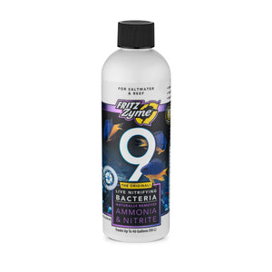 wholesale_coral - saltwater_fish saltwater_coral - rare corals - coralsdepot - Corals_Depot - live_corals - eye - catching - coral quality_marine_fish - quality - marine discoun