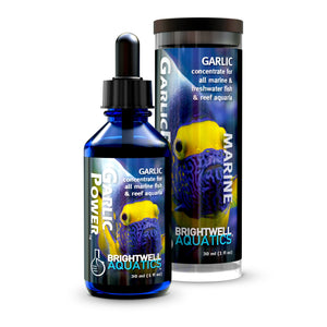 wholesale_coral - saltwater_fish saltwater_coral - rare corals - coralsdepot - Corals_Depot - live_corals - eye - catching - coral quality_marine_fish - quality - marine discoun