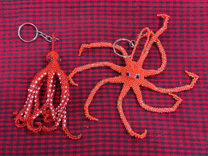 wholesale_coral - saltwater_fish saltwater_coral - rare corals - coralsdepot - Corals_Depot - live_corals - eye - catching - coral quality_marine_fish - quality - marine discoun