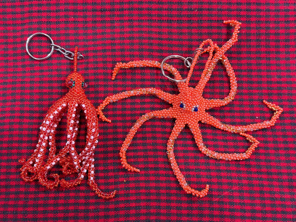 wholesale_coral - saltwater_fish saltwater_coral - rare corals - coralsdepot - Corals_Depot - live_corals - eye - catching - coral quality_marine_fish - quality - marine discoun