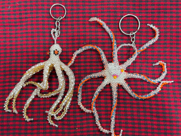 wholesale_coral - saltwater_fish saltwater_coral - rare corals - coralsdepot - Corals_Depot - live_corals - eye - catching - coral quality_marine_fish - quality - marine discoun