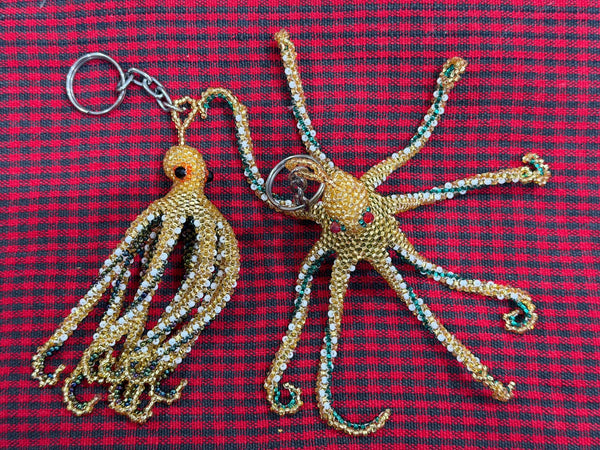 wholesale_coral - saltwater_fish saltwater_coral - rare corals - coralsdepot - Corals_Depot - live_corals - eye - catching - coral quality_marine_fish - quality - marine discoun