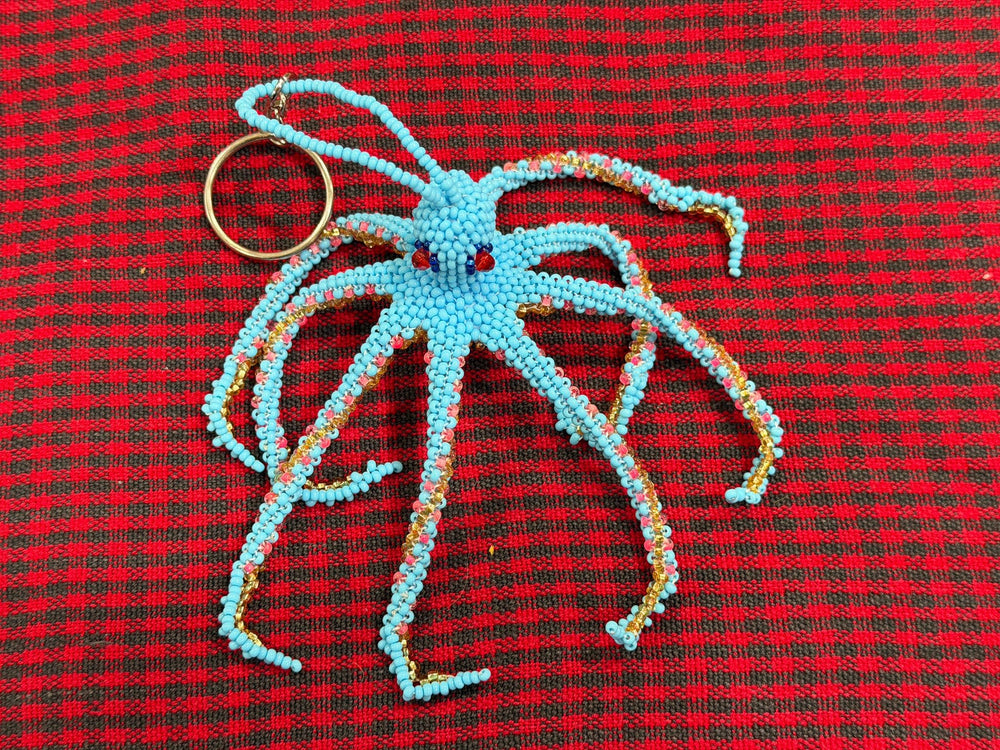 wholesale_coral - saltwater_fish saltwater_coral - rare corals - coralsdepot - Corals_Depot - live_corals - eye - catching - coral quality_marine_fish - quality - marine discoun