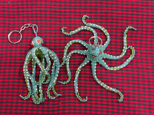 wholesale_coral - saltwater_fish saltwater_coral - rare corals - coralsdepot - Corals_Depot - live_corals - eye - catching - coral quality_marine_fish - quality - marine discoun