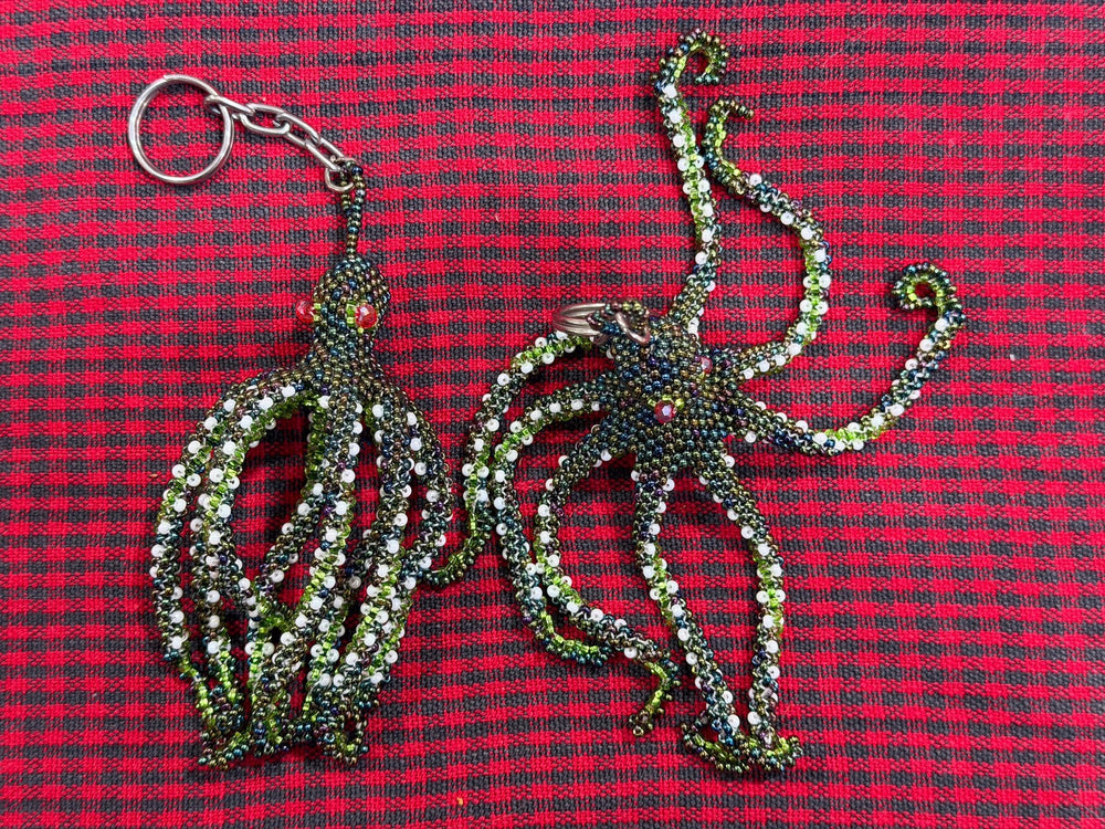 wholesale_coral - saltwater_fish saltwater_coral - rare corals - coralsdepot - Corals_Depot - live_corals - eye - catching - coral quality_marine_fish - quality - marine discoun