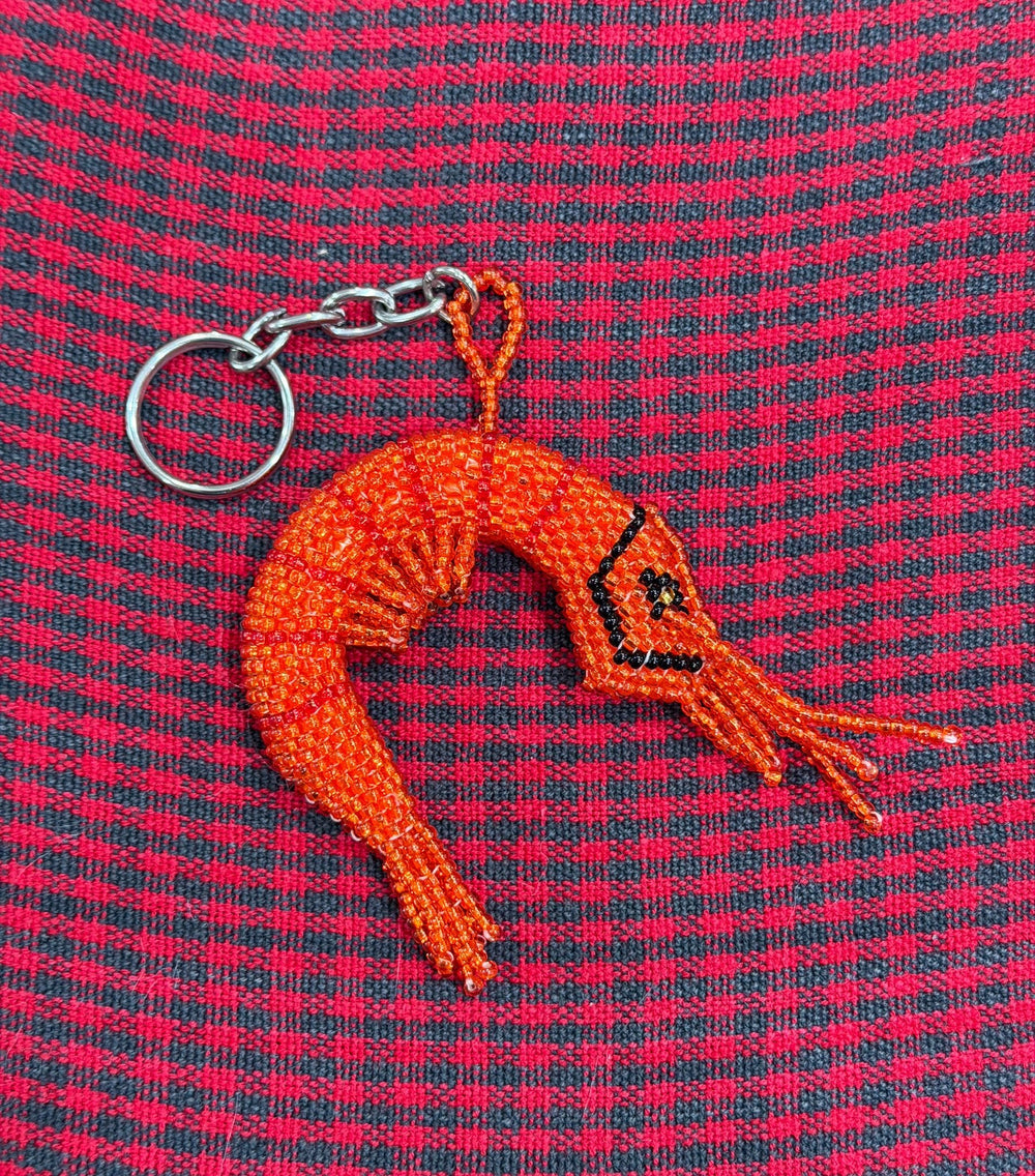 wholesale_coral - saltwater_fish saltwater_coral - rare corals - coralsdepot - Corals_Depot - live_corals - eye - catching - coral quality_marine_fish - quality - marine discoun