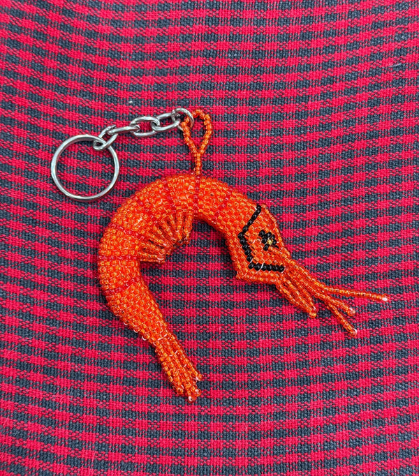 wholesale_coral - saltwater_fish saltwater_coral - rare corals - coralsdepot - Corals_Depot - live_corals - eye - catching - coral quality_marine_fish - quality - marine discoun