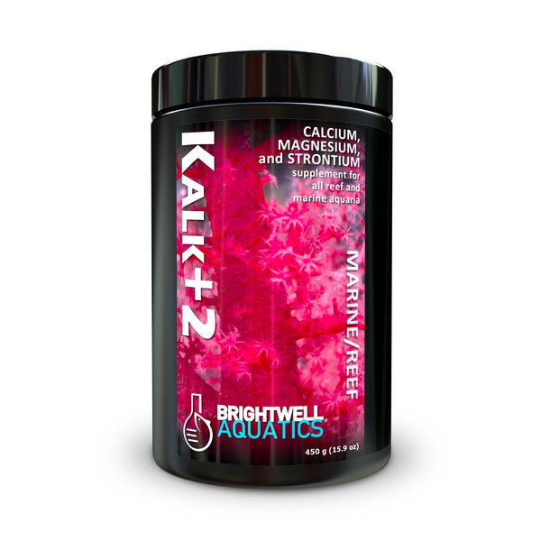 wholesale_coral - saltwater_fish saltwater_coral - rare corals - coralsdepot - Corals_Depot - live_corals - eye - catching - coral quality_marine_fish - quality - marine discoun