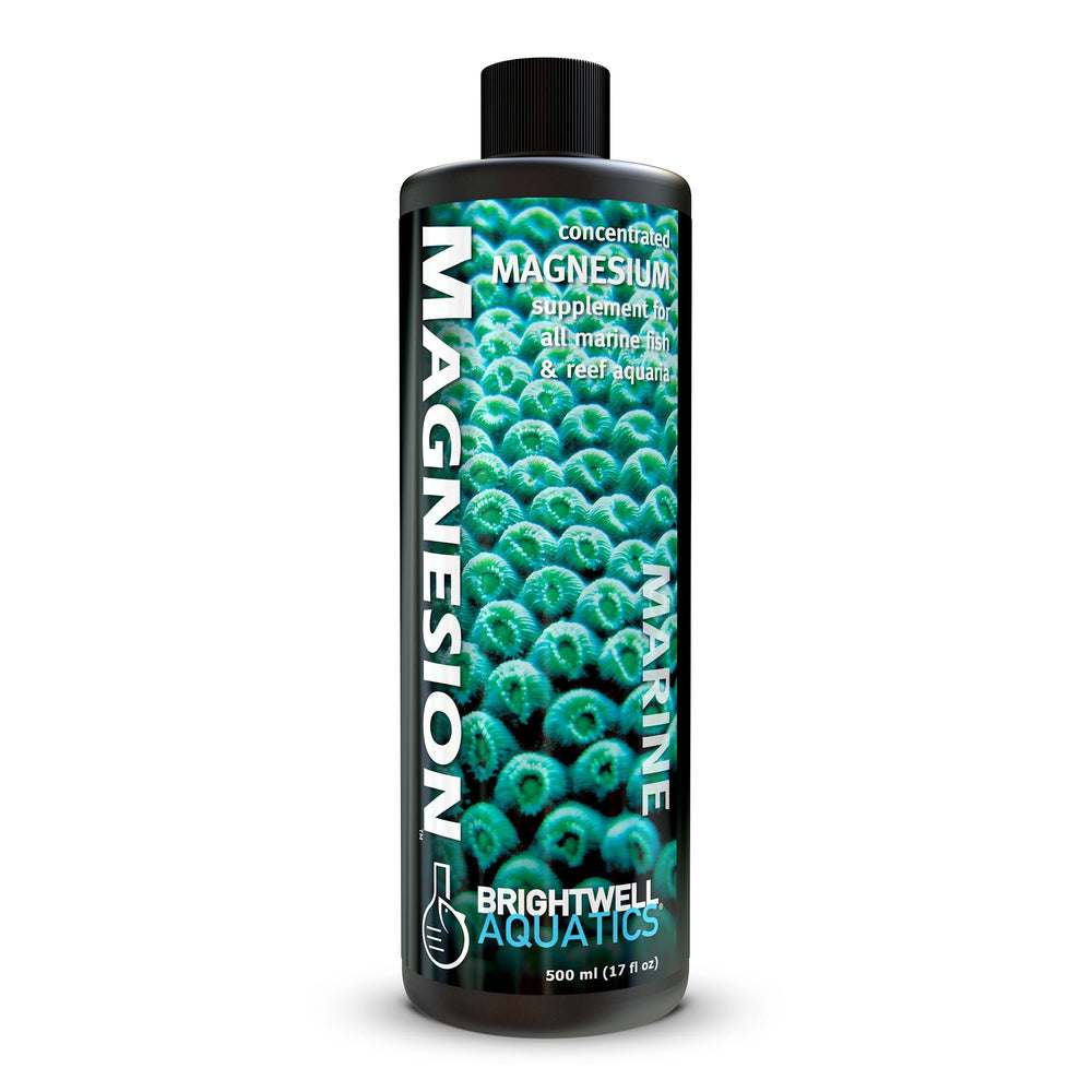 wholesale_coral - saltwater_fish saltwater_coral - rare corals - coralsdepot - Corals_Depot - live_corals - eye - catching - coral quality_marine_fish - quality - marine discoun