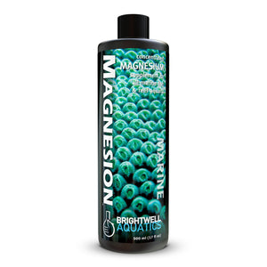 wholesale_coral - saltwater_fish saltwater_coral - rare corals - coralsdepot - Corals_Depot - live_corals - eye - catching - coral quality_marine_fish - quality - marine discoun