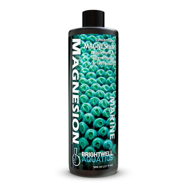 wholesale_coral - saltwater_fish saltwater_coral - rare corals - coralsdepot - Corals_Depot - live_corals - eye - catching - coral quality_marine_fish - quality - marine discoun