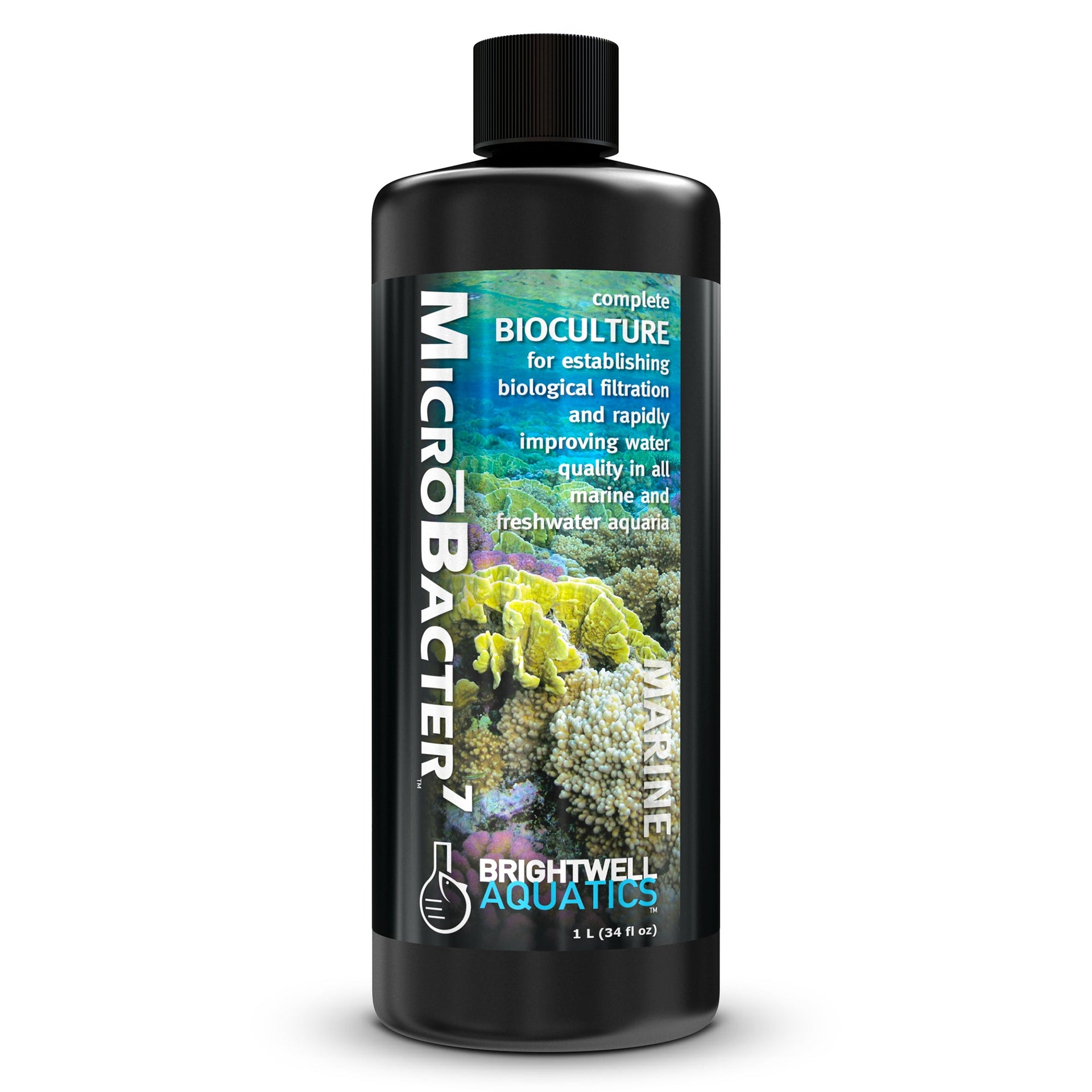 wholesale_coral - saltwater_fish saltwater_coral - rare corals - coralsdepot - Corals_Depot - live_corals - eye - catching - coral quality_marine_fish - quality - marine discoun