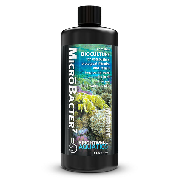 wholesale_coral - saltwater_fish saltwater_coral - rare corals - coralsdepot - Corals_Depot - live_corals - eye - catching - coral quality_marine_fish - quality - marine discoun