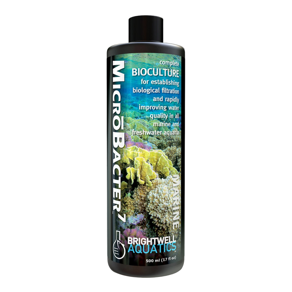 wholesale_coral - saltwater_fish saltwater_coral - rare corals - coralsdepot - Corals_Depot - live_corals - eye - catching - coral quality_marine_fish - quality - marine discoun