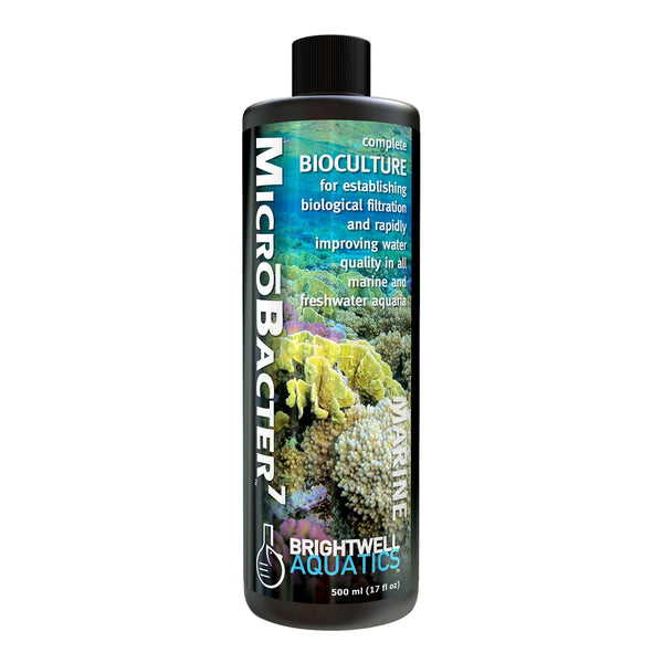 wholesale_coral - saltwater_fish saltwater_coral - rare corals - coralsdepot - Corals_Depot - live_corals - eye - catching - coral quality_marine_fish - quality - marine discoun