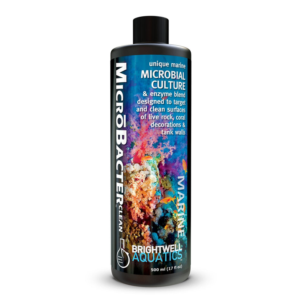 wholesale_coral - saltwater_fish saltwater_coral - rare corals - coralsdepot - Corals_Depot - live_corals - eye - catching - coral quality_marine_fish - quality - marine discoun