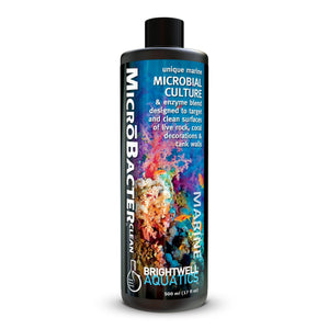 wholesale_coral - saltwater_fish saltwater_coral - rare corals - coralsdepot - Corals_Depot - live_corals - eye - catching - coral quality_marine_fish - quality - marine discoun