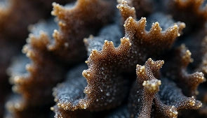 Close-up of textured brown surface with intricate patterns