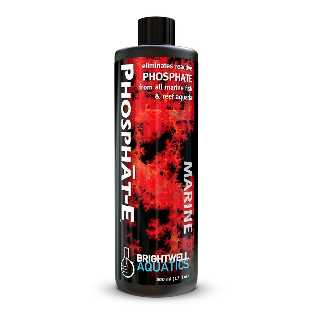 wholesale_coral - saltwater_fish saltwater_coral - rare corals - coralsdepot - Corals_Depot - live_corals - eye - catching - coral quality_marine_fish - quality - marine discoun