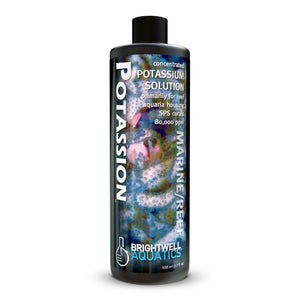 wholesale_coral - saltwater_fish saltwater_coral - rare corals - coralsdepot - Corals_Depot - live_corals - eye - catching - coral quality_marine_fish - quality - marine discoun