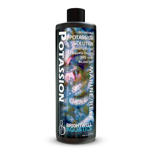 wholesale_coral - saltwater_fish saltwater_coral - rare corals - coralsdepot - Corals_Depot - live_corals - eye - catching - coral quality_marine_fish - quality - marine discoun