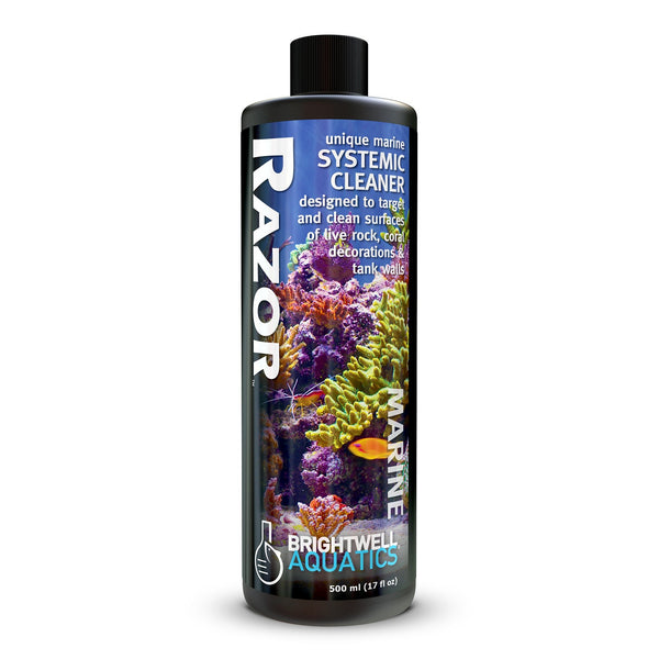 wholesale_coral - saltwater_fish saltwater_coral - rare corals - coralsdepot - Corals_Depot - live_corals - eye - catching - coral quality_marine_fish - quality - marine discoun