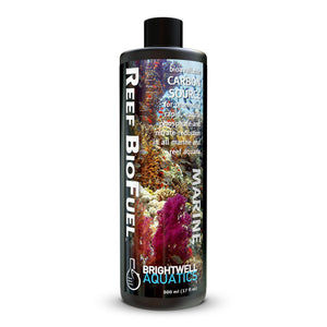 wholesale_coral - saltwater_fish saltwater_coral - rare corals - coralsdepot - Corals_Depot - live_corals - eye - catching - coral quality_marine_fish - quality - marine discoun