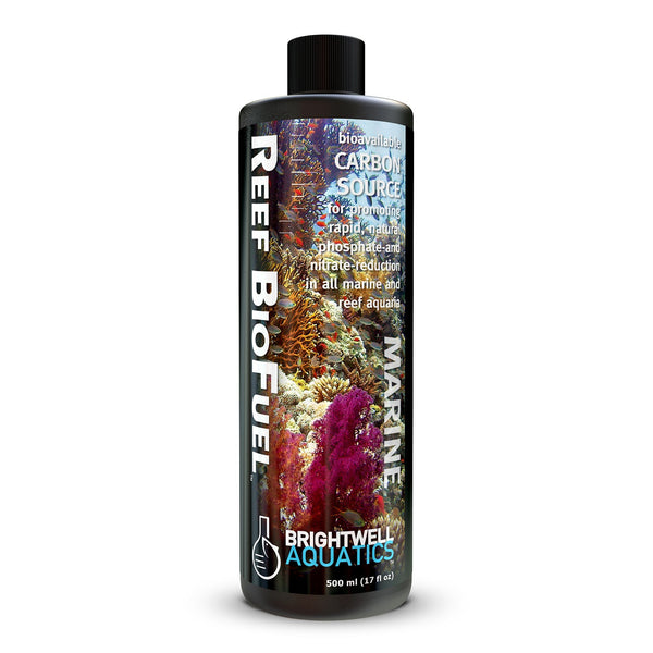 wholesale_coral - saltwater_fish saltwater_coral - rare corals - coralsdepot - Corals_Depot - live_corals - eye - catching - coral quality_marine_fish - quality - marine discoun