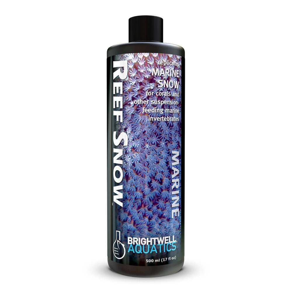 wholesale_coral - saltwater_fish saltwater_coral - rare corals - coralsdepot - Corals_Depot - live_corals - eye - catching - coral quality_marine_fish - quality - marine discoun