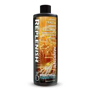 wholesale_coral - saltwater_fish saltwater_coral - rare corals - coralsdepot - Corals_Depot - live_corals - eye - catching - coral quality_marine_fish - quality - marine discoun