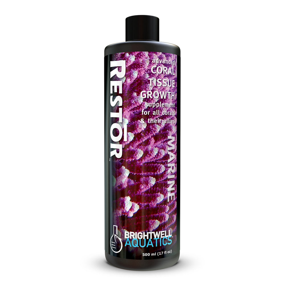 wholesale_coral - saltwater_fish saltwater_coral - rare corals - coralsdepot - Corals_Depot - live_corals - eye - catching - coral quality_marine_fish - quality - marine discoun