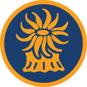 Aiptasia