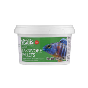 wholesale_coral - saltwater_fish saltwater_coral - rare corals - coralsdepot - Corals_Depot - live_corals - eye - catching - coral quality_marine_fish - quality - marine discoun